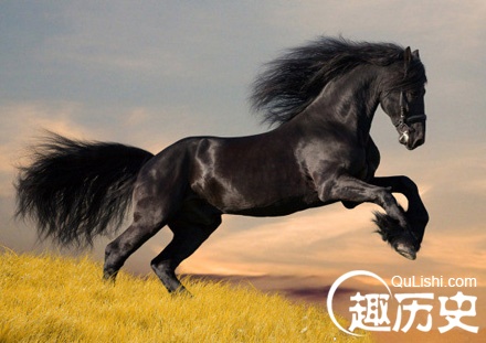 汗血宝马成大宛灭国导火索:汉武帝两征大宛
