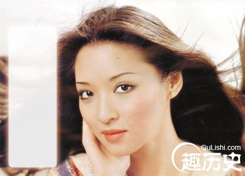 2014胡因梦和费翔胡因梦和费翔 胡因梦图片
