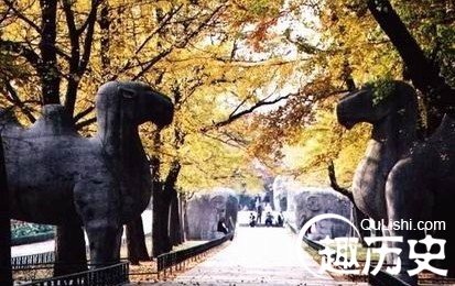 澳门葡萄京官方网站 6
