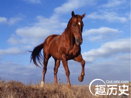 盘点三国名马:第一名马赤兔曾经跟随两位名将