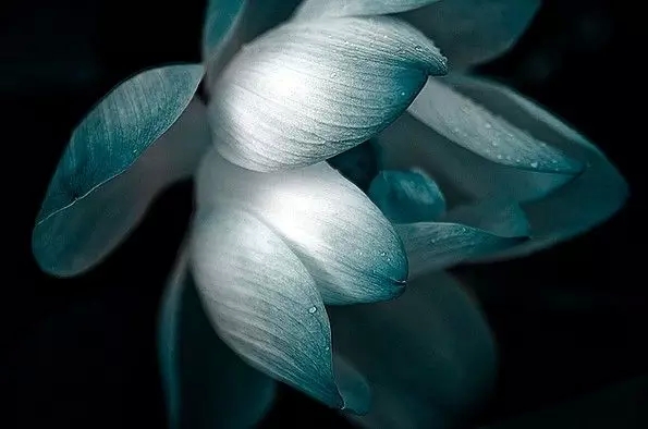 盘点:意境最美的十二首中国古诗词