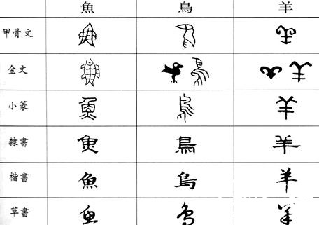 汉字的由来:汉字的演变及其对周边国家的影响