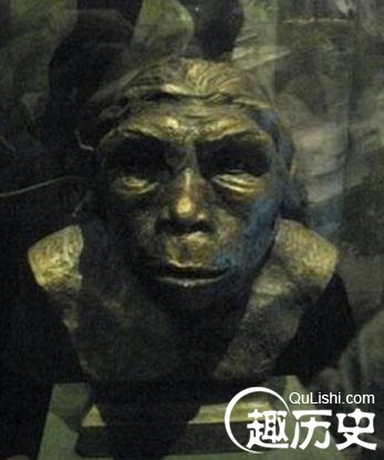 元谋人是早期猿人还是晚期猿人?元谋人的特点