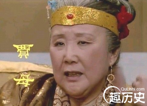 红楼梦贾母生平简介宁荣二府中最高的家长贾母