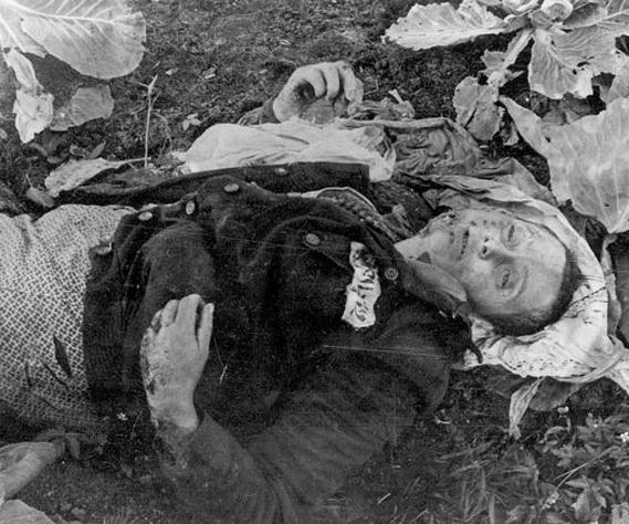 奥斯维辛集中营焚尸图片